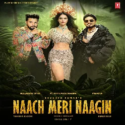 Nach Meri Nagin (Neelkamal Singh, Paradox) 2025 Mp3 Song