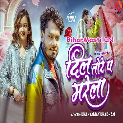Dil Tore Pa Marela (Dhananjay Dhadkan)
